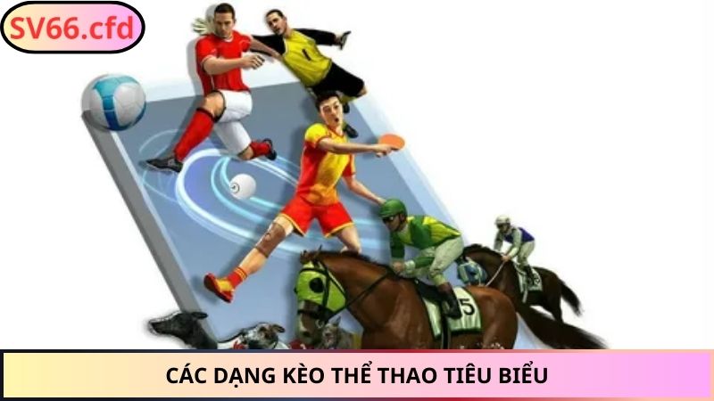 Các dạng kèo thể thao tiêu biểu
