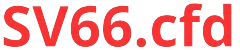 sv66cfd